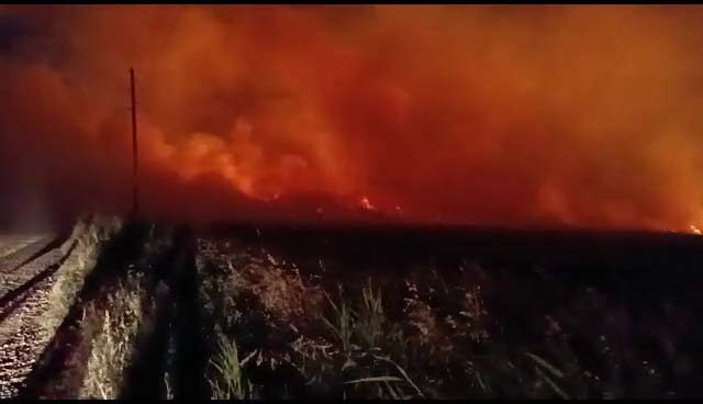 Gölbaşı’nda 40 dönüm buğday tarlası yandı  - Videolu Haber