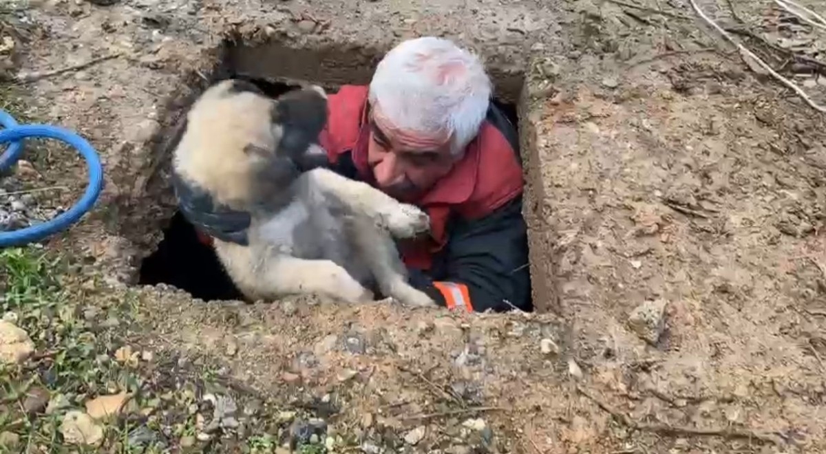 Malatya'da boş kuyuya düşen yavru köpek kurtarıldı  - Videolu Haber