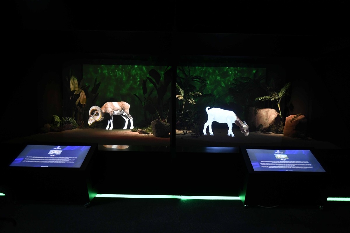 Ankara Dijital Hayvanat Bahçesi açılıyor  - Videolu Haber